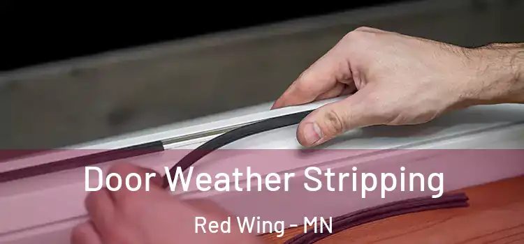 Door Weather Stripping Red Wing - MN