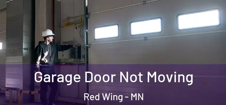  Garage Door Not Moving Red Wing - MN