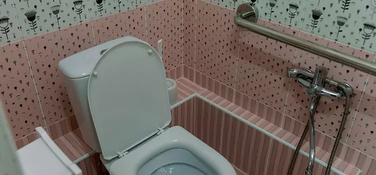 Meeting Diverse Needs With Accessible Restroom Solutions in Red Wing, MN
