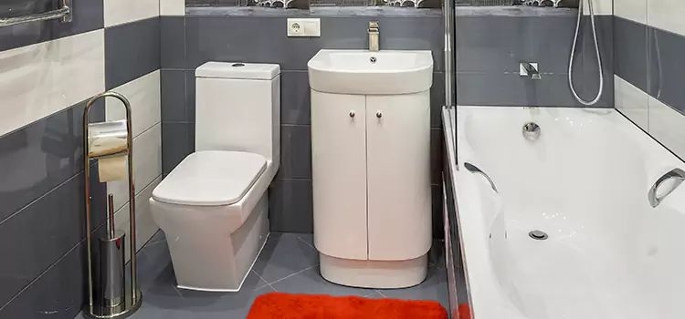 Hansgrohe Shaving Mirror Red Wing