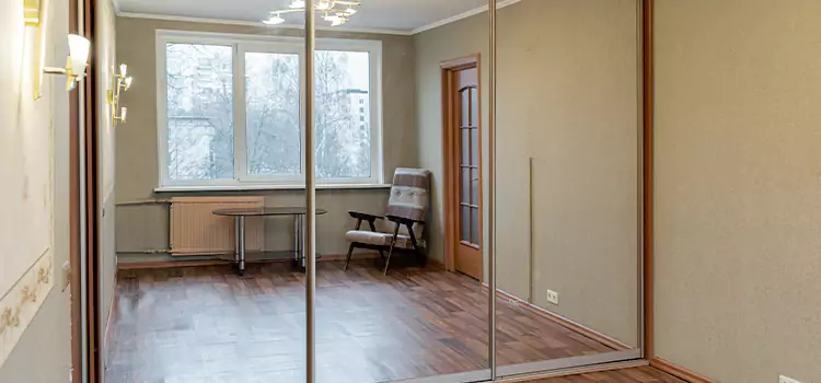 Mirror Closet Door Roller Replacement Red Wing