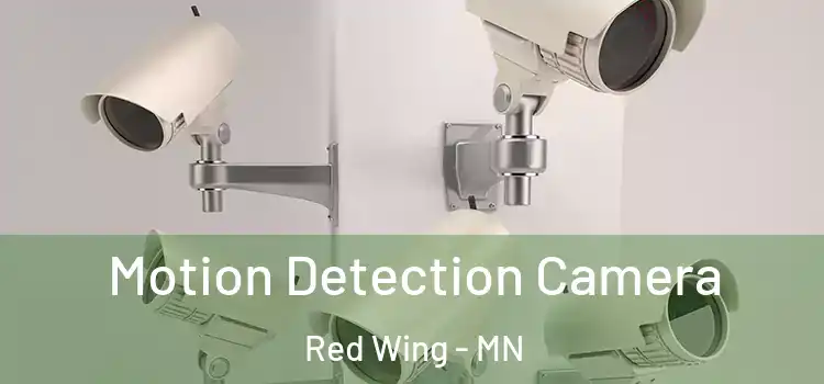  Motion Detection Camera Red Wing - MN