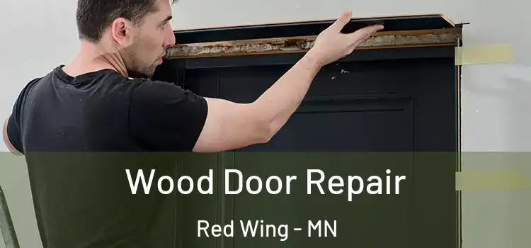  Wood Door Repair Red Wing - MN